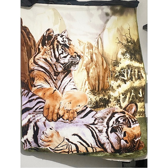 5 throw blankets ✨WILL SELL SEPARATELY ✨ - Picture 2 of 3